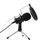 Professional Condenser Microphone